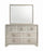 Salford Rectangular Dresser Mirror Metallic Sterling
