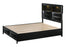 Fallon Black LED Storage Platform Bed